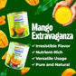 ASHOKA Premium Mango Puree, Sweetened Kesar Mango Pulp, 30 Ounce (Pack of 3)