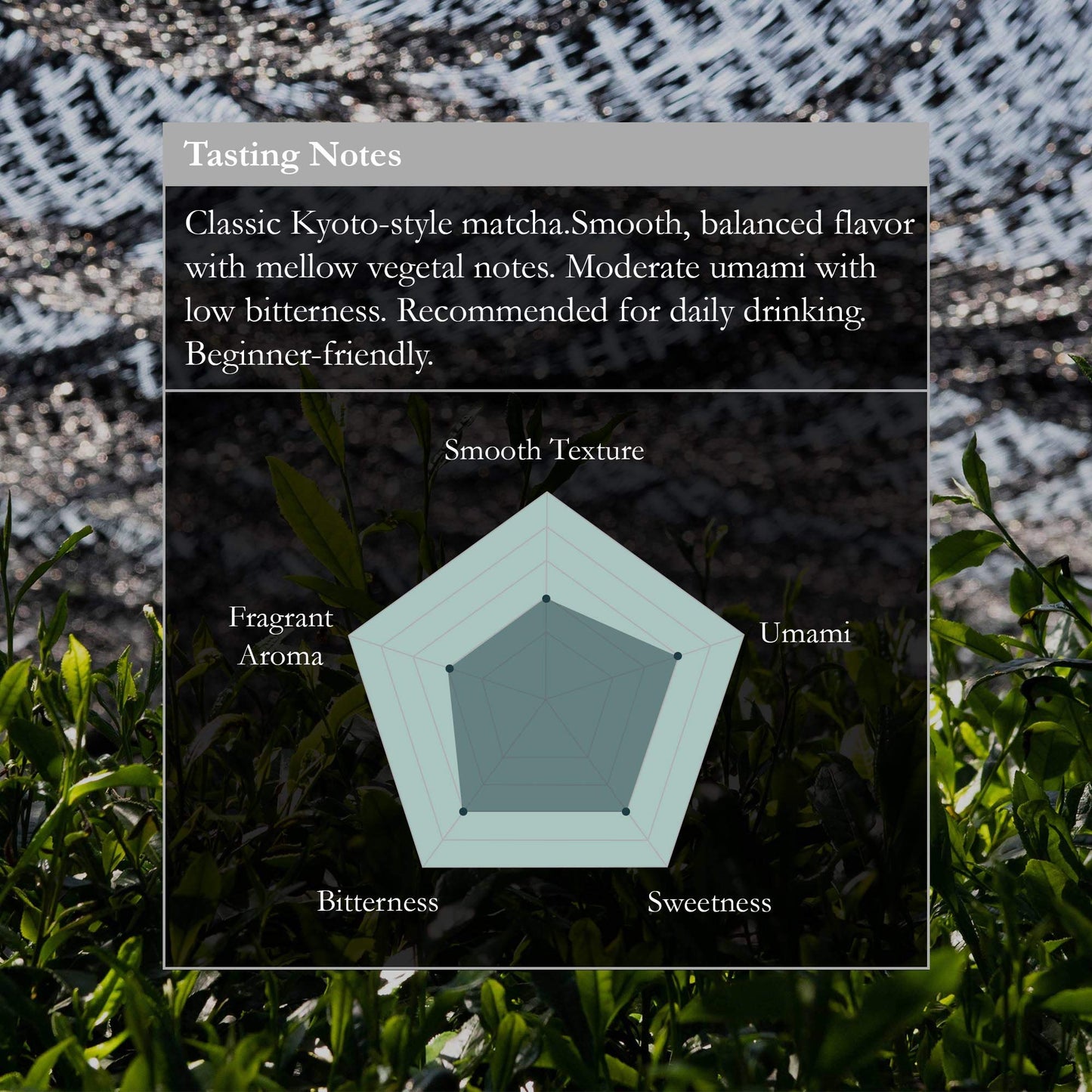 Naoki Matcha Superior Ceremonial Grade Matcha Green Tea Powder, 100g (3.5oz), Authentic Japanese First Harvest from Uji, Kyoto