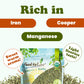 Food to Live Organic Fennel Seeds, Whole Raw Non-GMO, Vegan, 1 Pound