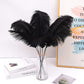 Ballinger Black Ostrich Feathers Bulk - Making Kit 10Pcs 28Inch Large Ostrich Feathers For Floral Arrangement, Vase, Wedding Par