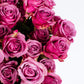 Benchmark Bouquets 50 Stem Premium Lavender Roses - 2 Bundles of 25, Fresh Flowers for Delivery, Model CB-972883