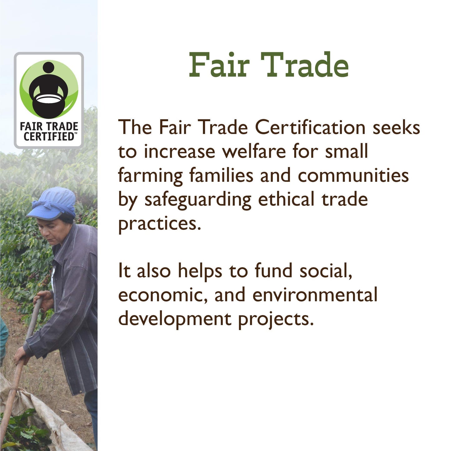 Fresh Roasted Coffee, Organic Ethiopian Sidamo, 12 Oz, Light Roast, Fair Trade Kosher, Ground