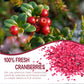 Freeze Dried Cranberries Pieces, Frozen Cranberries, No Added Sugar, 100% Natural, Freeze Dried Fruit For Cooking, Cereal, Yogur
