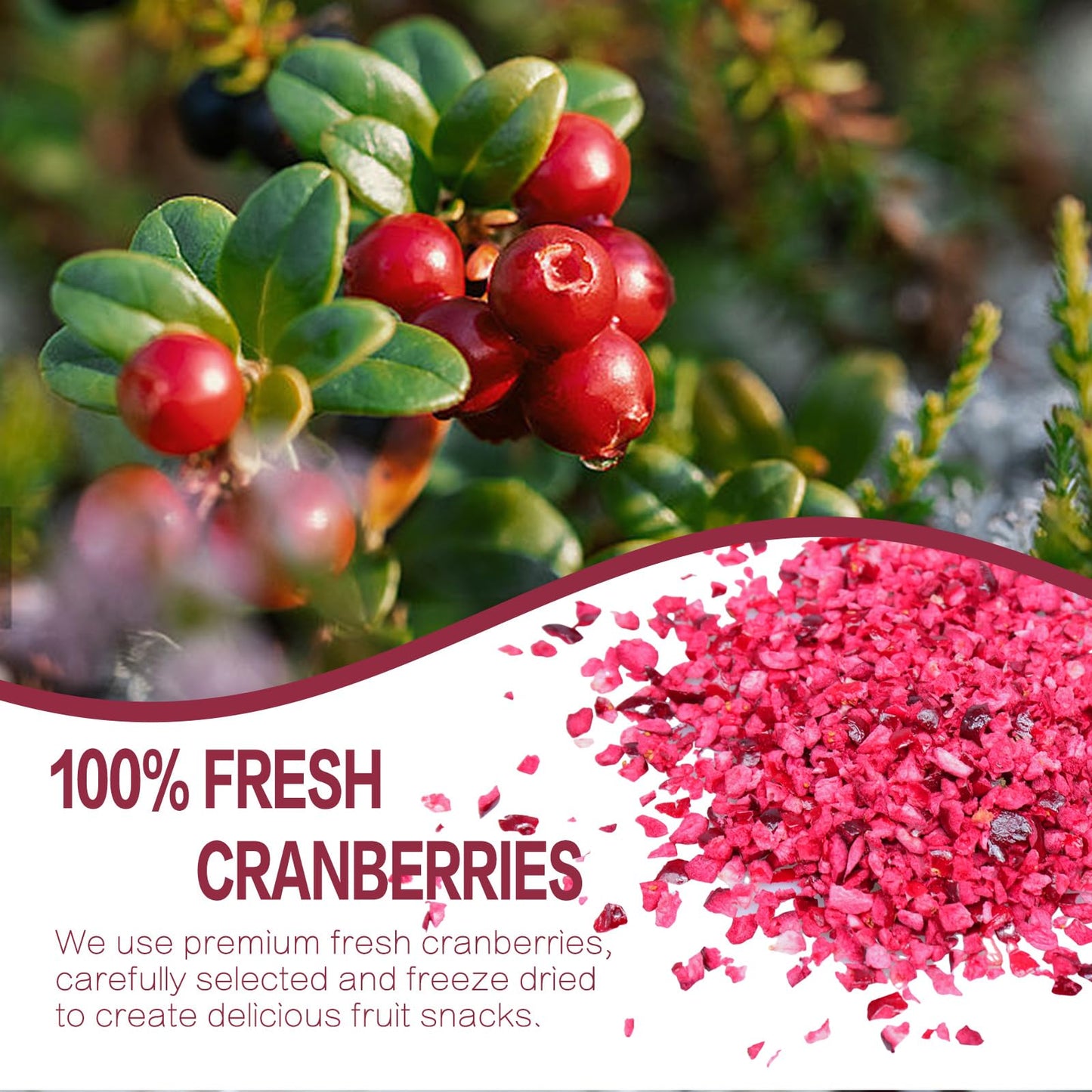 Freeze Dried Cranberries Pieces, Frozen Cranberries, No Added Sugar, 100% Natural, Freeze Dried Fruit For Cooking, Cereal, Yogur