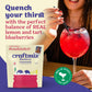 Craftmix Blueberry Lemonade Mix, 12 Packets, Easy Powder Drink With Real Fruit, Low-Sugar, Vegan, Low-Carb, Non-Gmo, Dairy-Free, Gluten-Free, Flavored Water Enhancer, On-The-Go Water Flavoring Packets