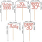 30Pcs Vintage 1993 Cupcake Toppers Glitter Thirty 30 Fabulous Happy 30Th Birthday Cupcake Picks Cheers To 30 Years For 30Th Birt