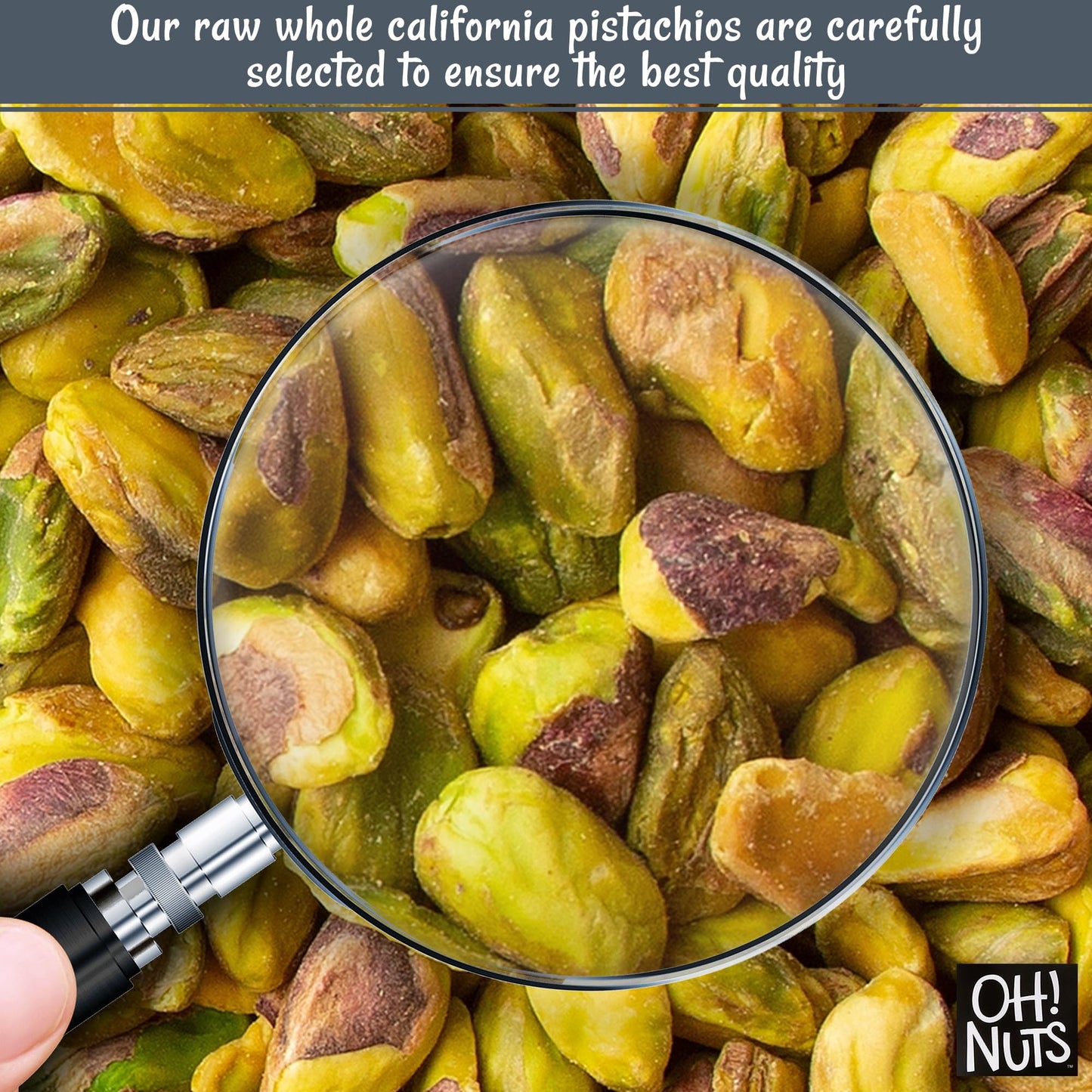 Oh! Nuts Pistachios No Shell - Raw - 100% Natural - 1 lb - Raw Whole California Pistachios - Packed in New York Zip-Seal Bag for