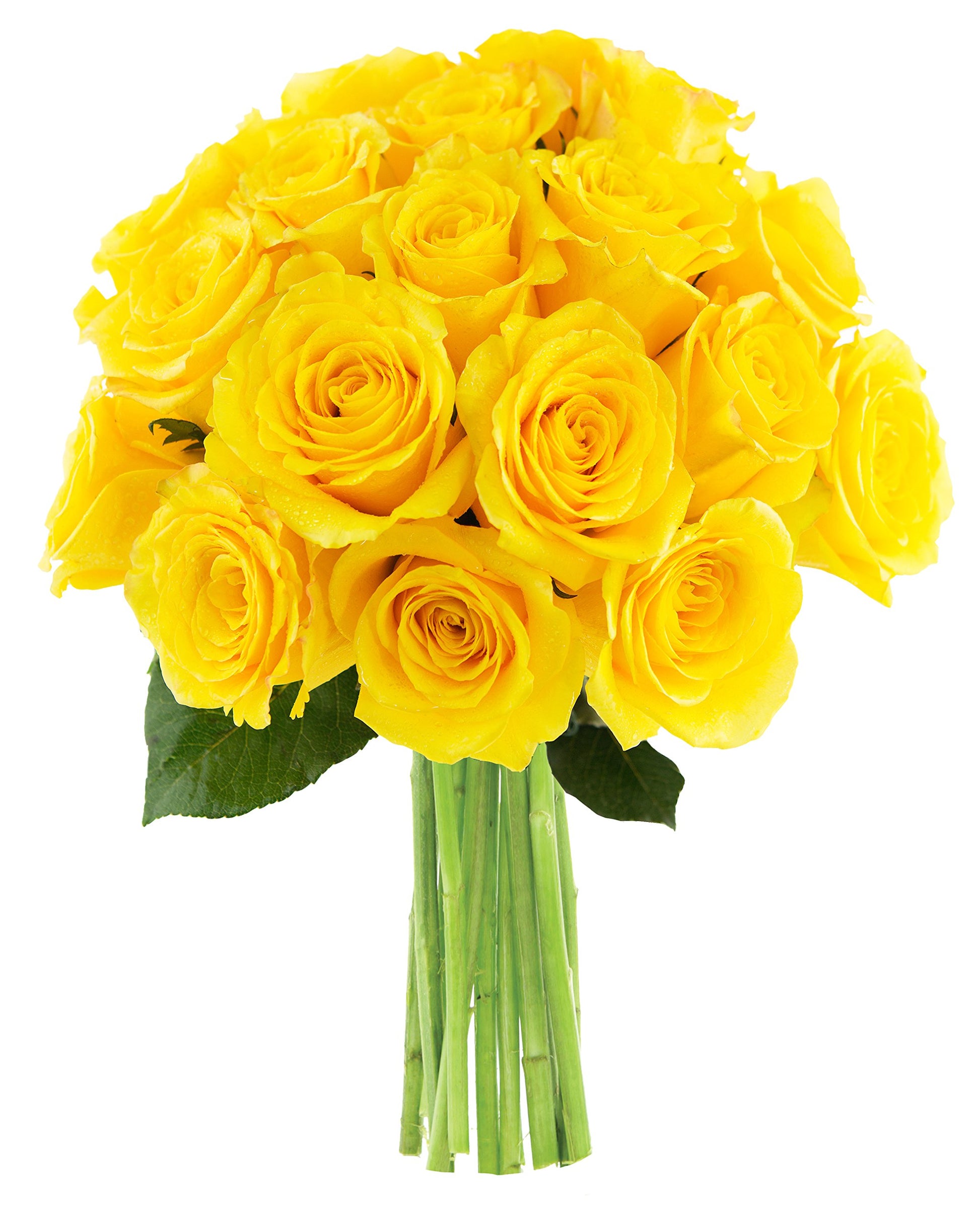 Kabloom Bouquet Of 18 Fresh Yellow Roses (Farm-Fresh  Long-Stem)