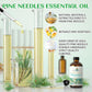 Evoke Occu Pine Needle Essential Oil 4 Oz, Pure Pine Needle Oil For Home Diffuser Massage Fragrance Diy Candle Soap Making- 4 Fl
