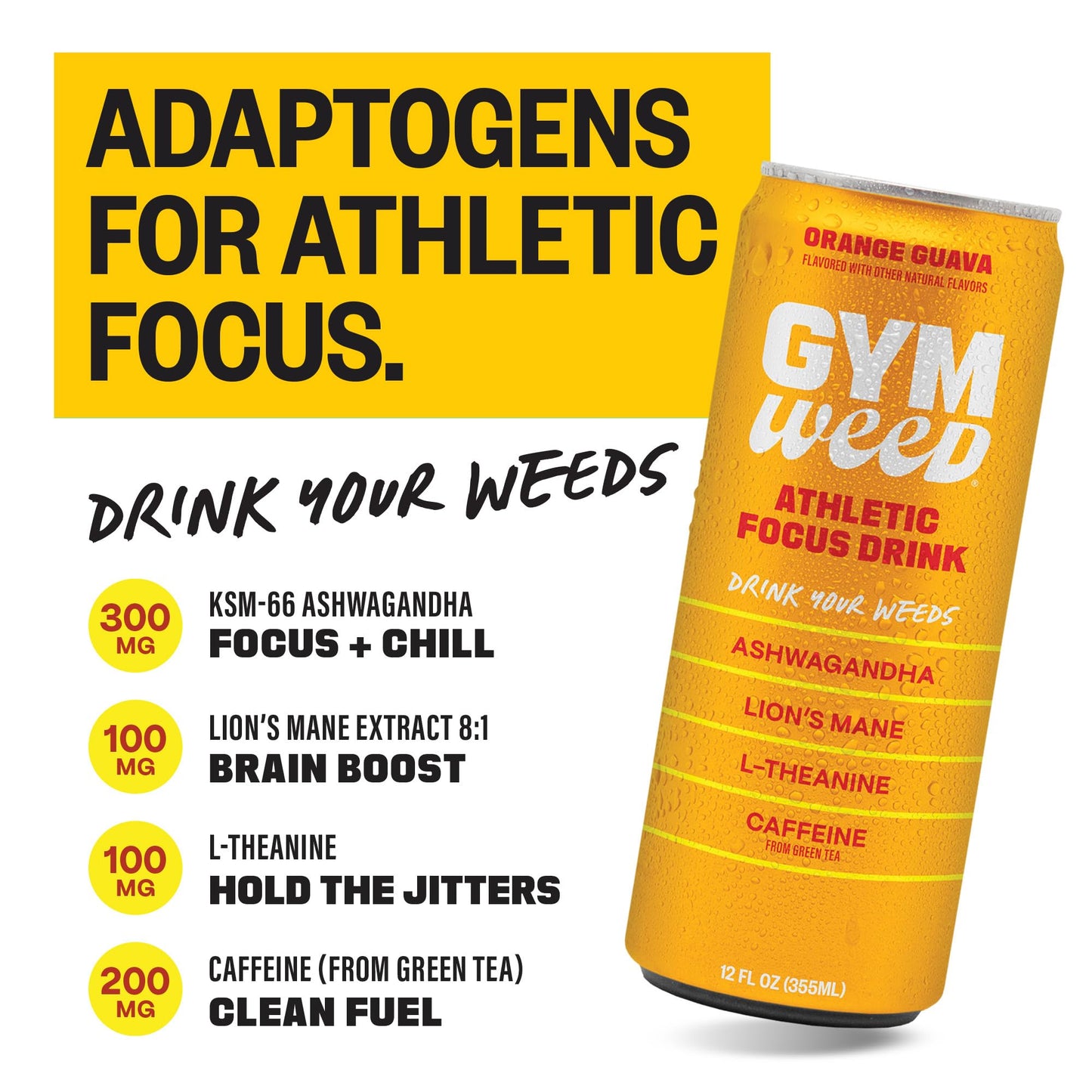 GYM   Athletic Focus Drink Variety Pack, 12 Pack with KSM-66 Ashwagandha, Lions Mane, L-Theanine, Green Tea Caffeine