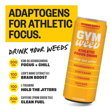 GYM   Athletic Focus Drink Variety Pack, 12 Pack with KSM-66 Ashwagandha, Lions Mane, L-Theanine, Green Tea Caffeine