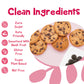 Bhu Foods Keto Chocolate Chips, Sugar Free, Vegan, Gluten Free, Low Carb, Clean Ingredients (Pack Of 2)
