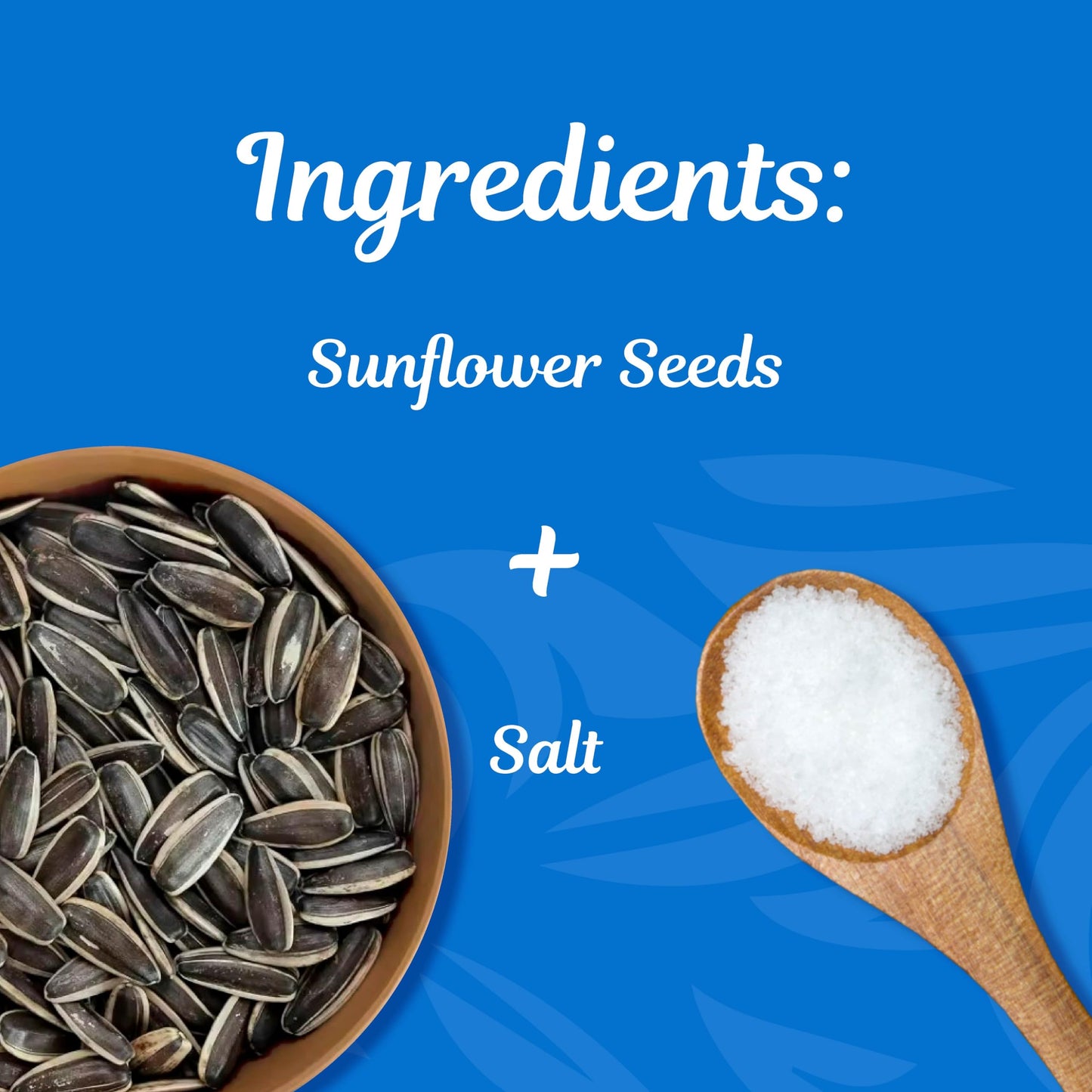 MR. MARTIN Freshly Roasted Salted Sunflower Seeds To Eat-Non-GMO, Crunchy, Delicious, Vegan, Kosher, Keto Friendly Snack- 5.25 O