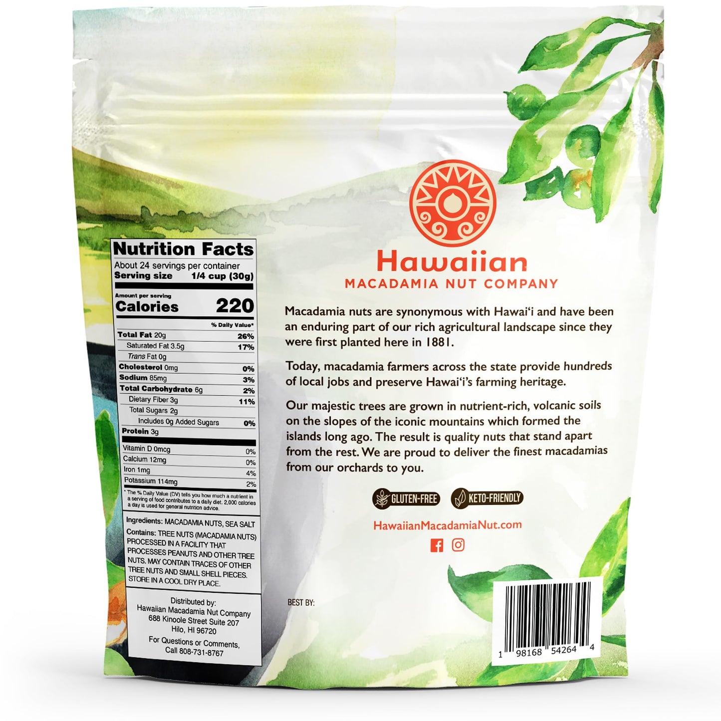 Hawaiian Macadamia Nut Company Dry Roasted Macadamia Nuts, Sea Salt, 24 Oz (Pack of 2), Gluten-Free, Non-GMO, Crunchy Snack