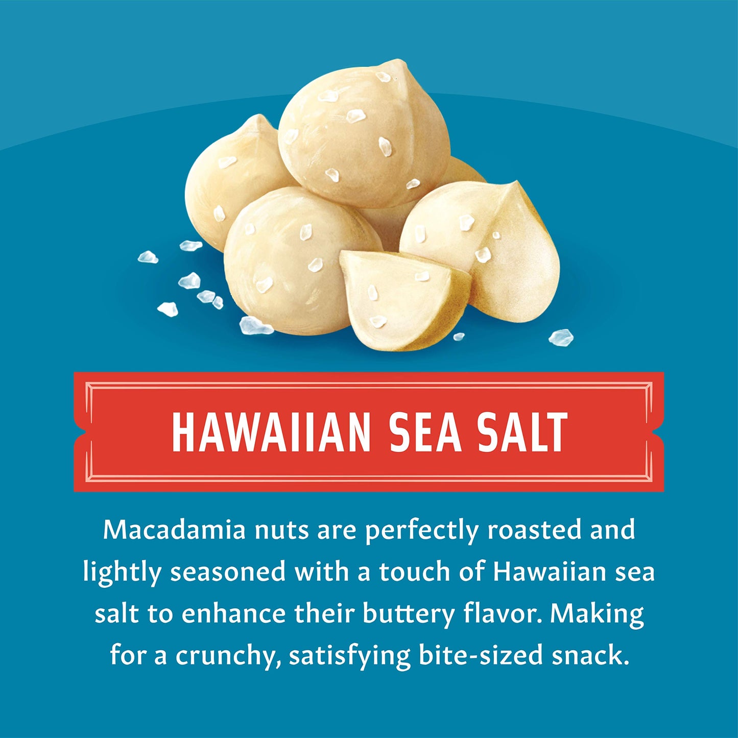 Mauna Loa Premium Roasted Macadamia Nuts, Sea Salt Flavor, 4 Oz