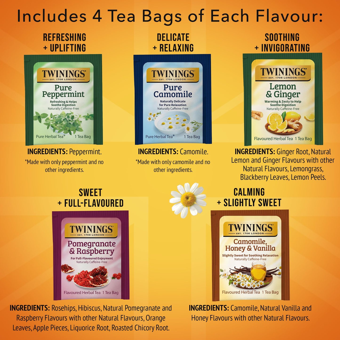 Twinings Herbal Tea Variety Pack, 20 Count (Pack of 6), Naturally Caffeine-Free, Includes 5 Flavours