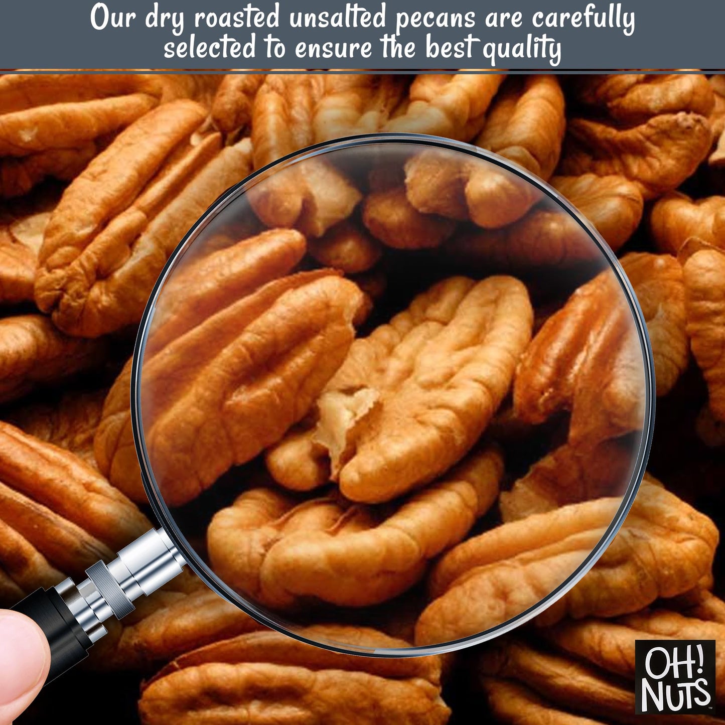 Pecans | Dry Roasted Unsalted | 1 lb | Oil-Free, All Natural Pecans | Packed in New York Zip-Seal Bag for Exceptional Freshness