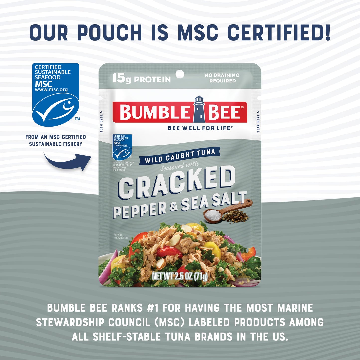 Bumble Bee Cracked Pepper & Sea Salt Seasoned Tuna, 2.5 Oz Pouches (Pack Of 12) - Ready To Eat - Wild Caught Tuna Pouch - 15G Protein Per Serving - Gluten Free