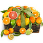 A Gift Inside Sweet Sunshine Citrus Basket