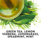 TAZO Organic Zen Green Tea, 96 Tea Bags, Green Tea Zen for Health and Wellness, Model 68782255