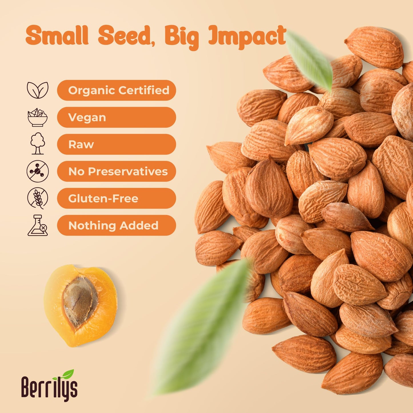 Berrilys Organic Bitter Apricot Kernels - Non-GMO, No Additives - 10 oz