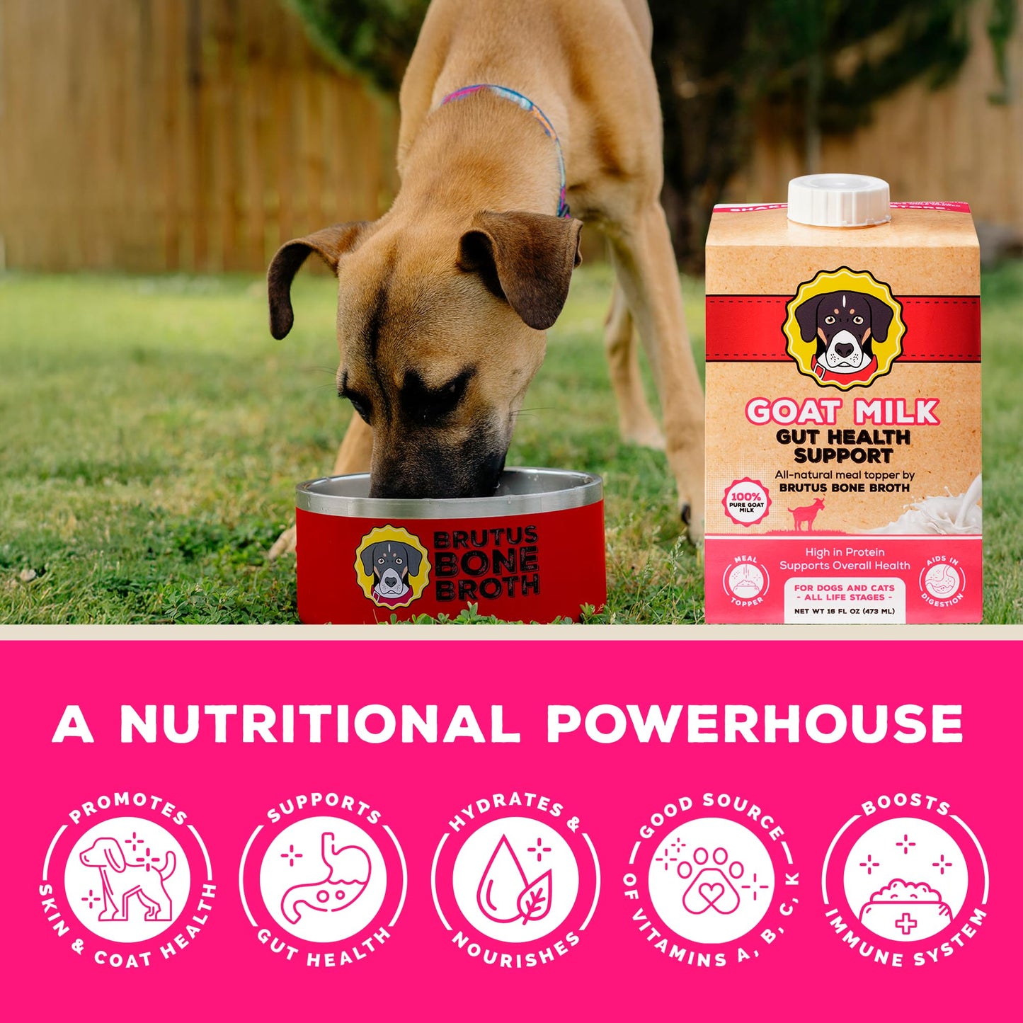 Brutus Bone Broth Goat Milk Meal Topper for Dogs & Cats - Digestive Support, Low-Lactose, 16 Fl Oz (Pack of 6)