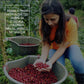 COPERACO Drip Coffee - Medium-Dark Roast, Freshly Whole Beans, 1Kg (35.2 Ounce)