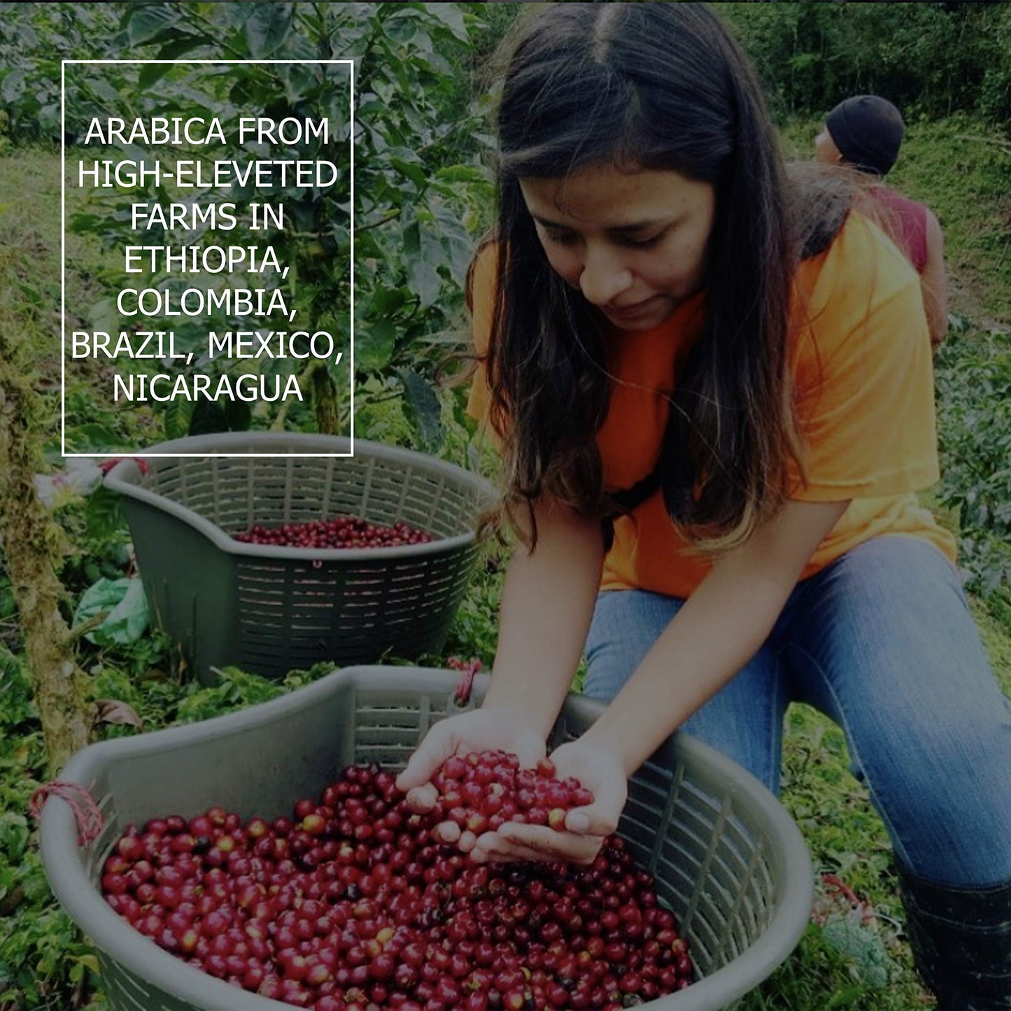 COPERACO Drip Coffee - Medium-Dark Roast, Freshly Whole Beans, 1Kg (35.2 Ounce)