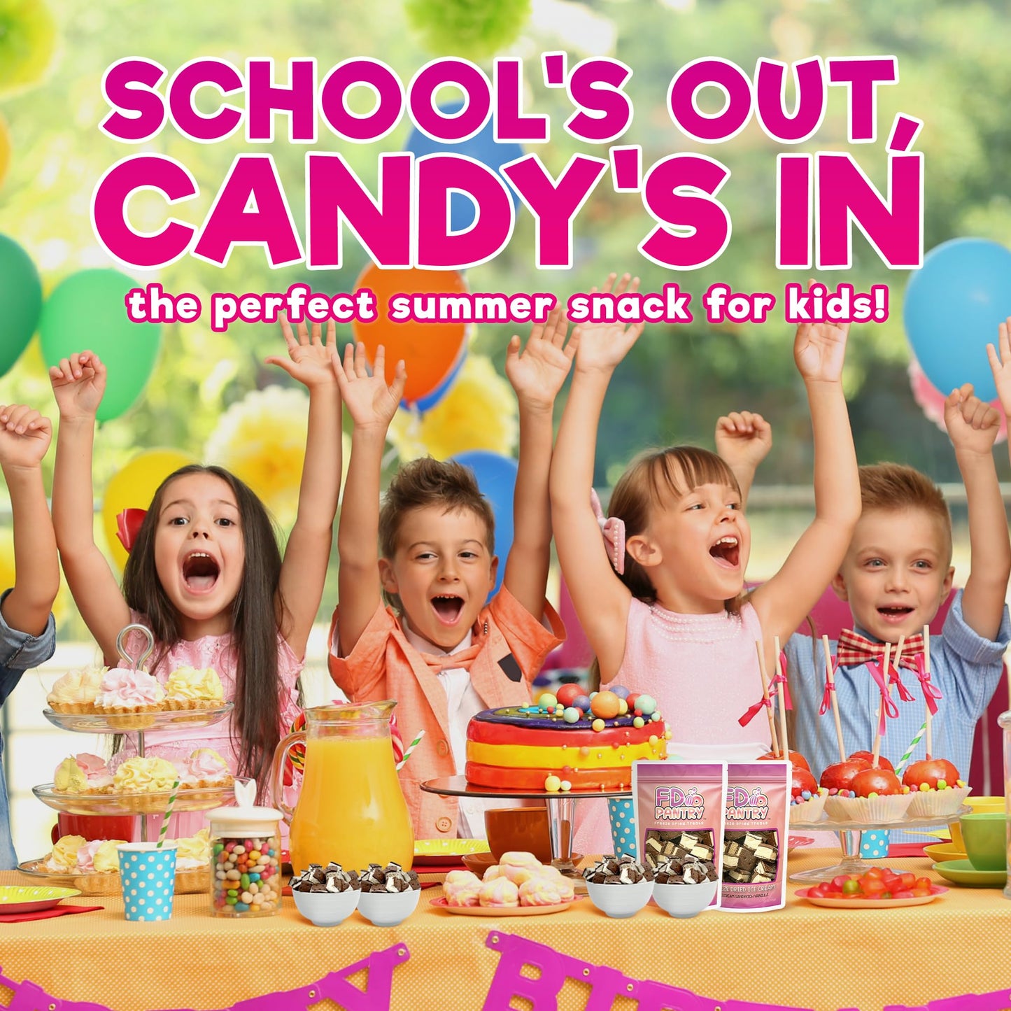 Freeze Dried Ice Cream Sandwich Bites, 2 Pack, Vanilla, Crunchy & Sweet Snack, 2.5 oz, Dehydrated, Resealable Gift Bag