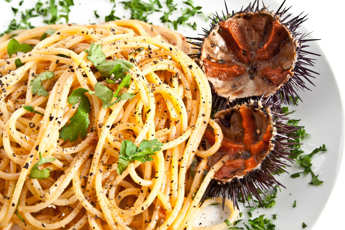 Poseidon Sea Urchin Pulp (Uni) - Wild-Caught From Sardinia, Italy - Gourmet Grade, Preservative-Free, Keto & Gluten-Free - 2.4 O