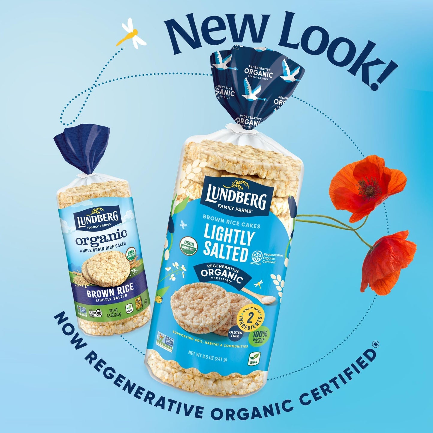 Lundberg Organic Brown Rice Cakes, Lightly Salted, Gluten-Free, Vegan, Healthy Snacks, 8.5 oz (Pack of 6)