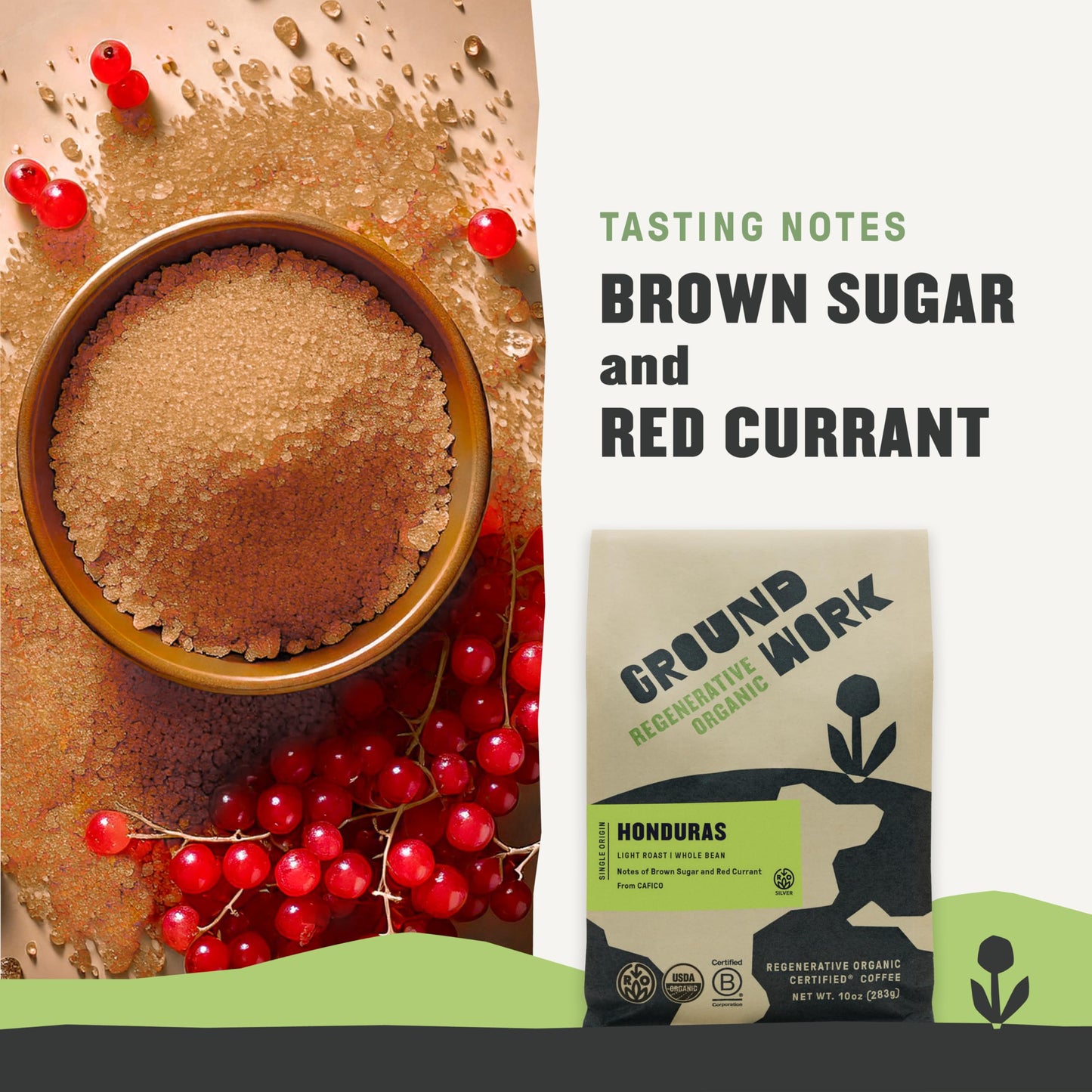 Groundwork Coffee Co Organic Regenerative Honduras Whole Bean Coffee, 10 Oz