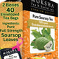 Pure Soursop Tea made with Pure Graviola Leaf- Guanabana Leaves- 40 Tea Bags Moksha Ayurveda (pack of 2)