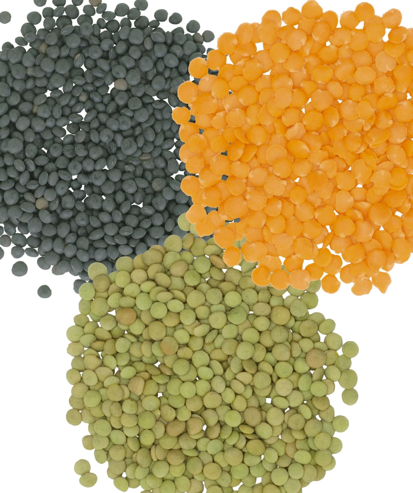 Red Lentils | Green Lentils | Black Beluga Lentils | 12 Lbs Total | Non-Gmo | 100% Non Irradiated | Kosher | Usa Grown | Vegan
