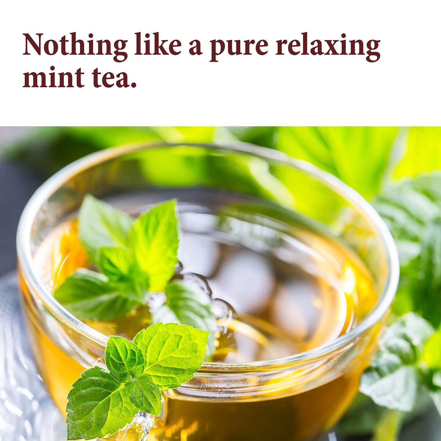 The Spice Way Mint Leaves - (2 Oz) Dried Loose Mint Leaf