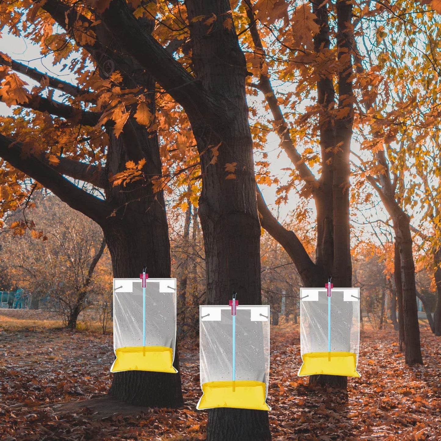 Reallnaive Maple Syrup Tapping Kit - 12 Taps, 12 Collectors, 12 Tubes, 12 Bags, 0.08 Ounce (Pack of 12