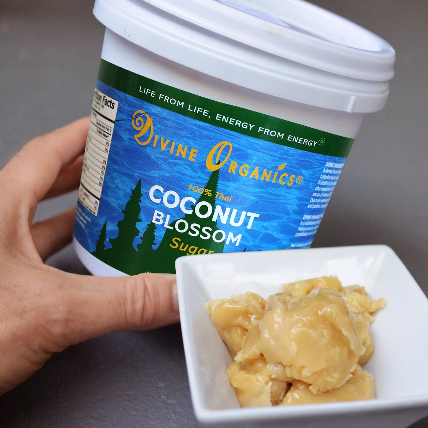 2.65 Lbs Organic Low Glycemic Thai Coconut Blossom Sugar Paste - Divine Organics - Mineral And Enzyme Rich Sweetener (2.65 Lbs)
