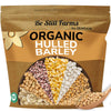 Be Still Farms Organic Hulled Barley Grain (2.8lb) - Whole Barley Groat Seed Bulk - Great for Soup, Flour, Cereal, Home Brewing,