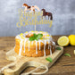 Gyufise 1Pcs Horse Happy Birthday Cake Topper Animal Horse Cake Pick For Equestrian Theme Baby Shower Kids Birthday Party Suppli