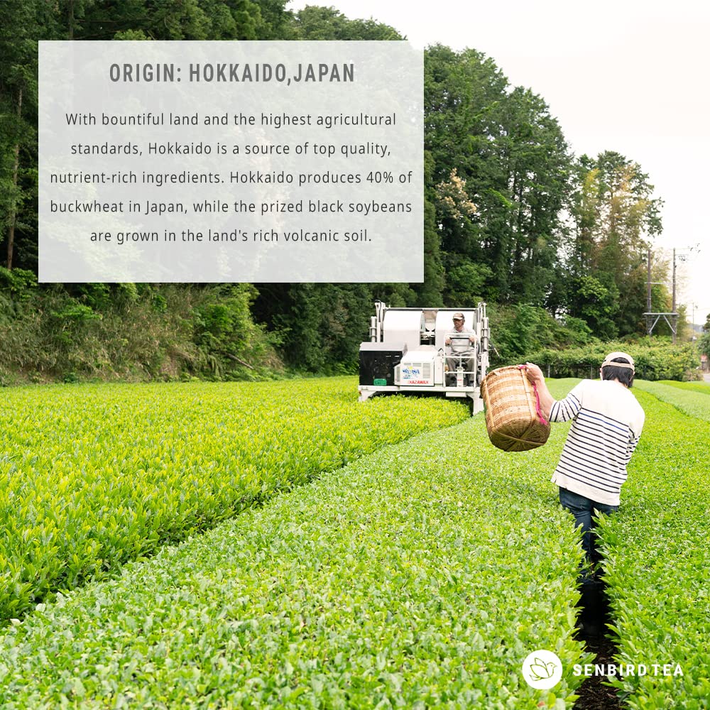 Senbird Organic Sobacha - Japanese Soba Buckwheat Tea - From Hokkaido - Loose Leaf in Airtight Tea Tin (3.5oz/100g)