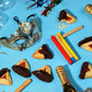 Hamentaschen Cookies | Mishloach Manot, Purim Gift Idea | Chocolate Dipped Shortbread Cookies Filled With Apricot And Raspberry
