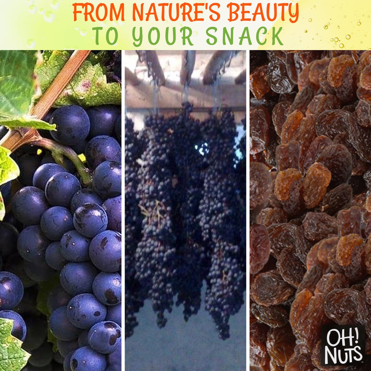 Black Raisins | 1 Lb - Dried Fruit | No Sugar Added | Dehydrated Fruit Bites | Packed In New York Zip-Seal Bag For Exceptional Freshness By Oh Nuts