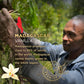 SAVA Madagascar Vanilla Extract - 100% Pure Vanilla Extract from High-Quality Madagascar Vanilla Beans - No Sugar Added Gourmet