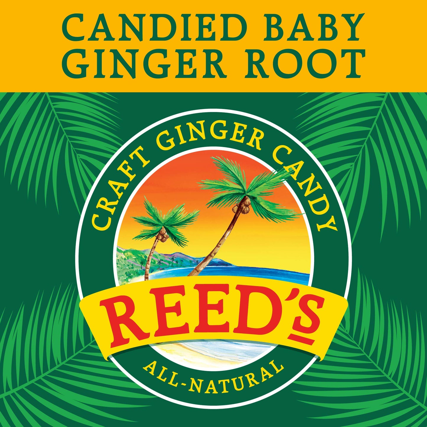 Reed'S All Natural Crystallized Ginger Nuggets In A 16 Oz Resealable Bag - Baby Ginger Root Fruit Slices Sweetened With Raw Cane