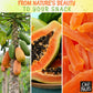 Dried Papaya Spears | 2 Lb - Dried Fruit Spears | Less Sugar Added | Dehydrated Fruit Bites | Packed In New York Zip-Seal Bag For Exceptional Freshness By Oh Nuts
