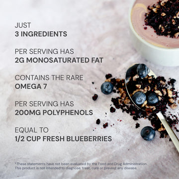 Blueprint Bryan Johnson Blueberry Nut Mix - Real Blueberries, Macadamia Nuts, Walnuts - Keto, Paleo Friendly - 30 Servings, Small