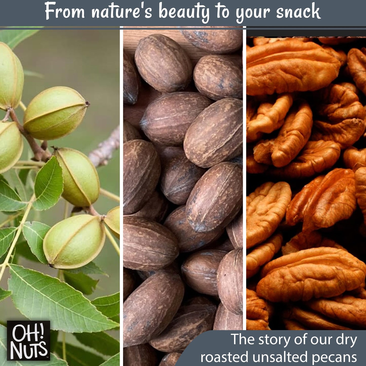 Pecans | Dry Roasted Unsalted | 1 lb | Oil-Free, All Natural Pecans | Packed in New York Zip-Seal Bag for Exceptional Freshness