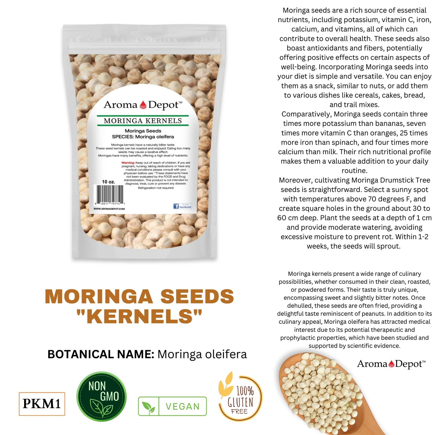 Aroma Depot 4 oz. Moringa Seeds KERNEL - 100% Natural, Raw, Off White Edible Superfood