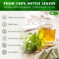 FRESHDRINKUS Premium Nettle Leaf Tea Bags, 100% Natural, Vegan, 135 Count