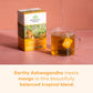 ORGANIC INDIA Tulsi Ashwagandha Herbal Tea - Stress Relieving, Vegan, Gluten-Free - 18 Infusion Bags, 3 Pack, Natural